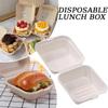 Disposable Bento Takeaway Container Disposable Bento Cake and Cupcake Box Heatable Biodegradable Food Container Dessert Box