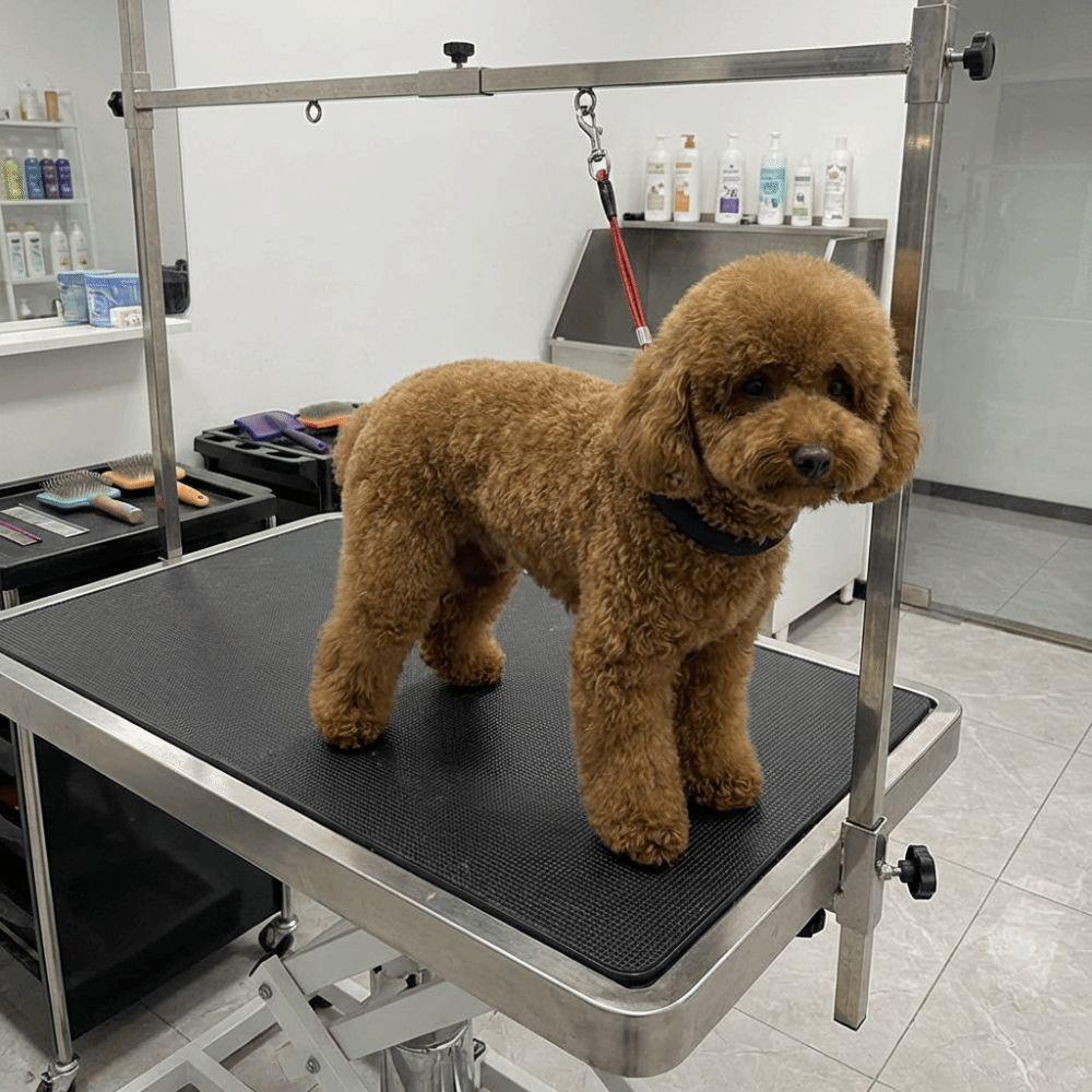 Adjustable Dog Restraint Rope Soft Foam Padded Pet Bathing Fixed Leash Pet Nail Clipping