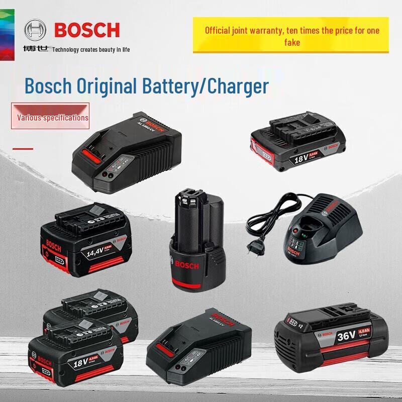 Bosch 18V Power Tool Battery & Charger CN plug (adapter included)