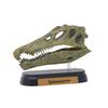 Dinosaur Spinosaurus Skull Mini Model (FDW-503)