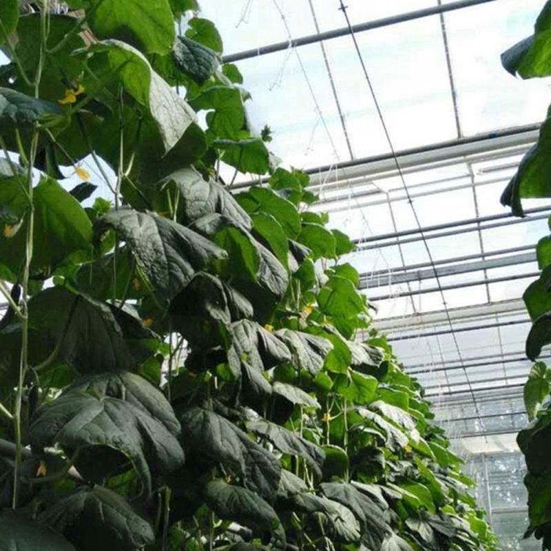 100 st Återanvändbar Trädgårdsklämma För Träning Klätterväxt Säker Stödklämma För Grönsaksväxt Och Tomatstjälkar