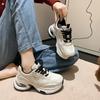 Women's Sports Shoes All Year Round Thick-soled Tennis Shoes Women's Casual Mesh Height Increase Zapatillas De Deporte