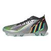 adidas Predator Edge.1 Fg 'Silber Metallic Schwarz' HR1573