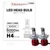 VALENTI H4 6200K 5000lm Valenti LED Head Bulb, Hi/Low Switch, Integrated Driver