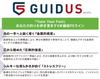 GOSEN GUIDUS PE×9 300m 2 fishing line light green