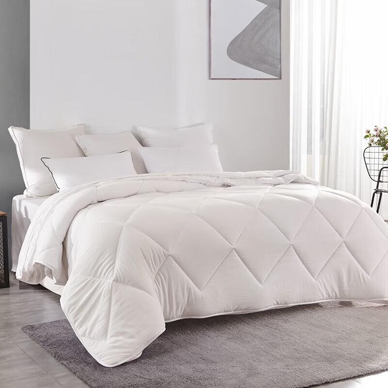 Mendale Soft & Fluffy Two-in-One Quilt