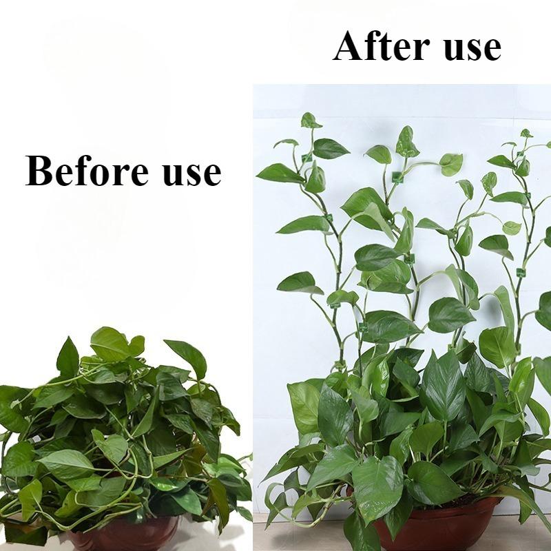 

10/30/50pcs Home Garden Plant Climbing Wall Fixture Clips Rattan Vine Fixer Self-Adhesive Plant Climbing Wall Fixed Buckle Hook M