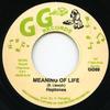 7inch Record HEPTONES  Meaning Of Life  Version GG69 GGs UK Reggae Ska  Dub Used