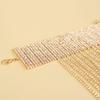 Exaggerated European and American Shiny Diamond Tassel Anklet for Fashion High Heels