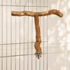 T Shape Design Wood Bird Perch Chewing Texture Paw Grinding Surface Parrot Perch Stand Easy To Install Exercise Platform