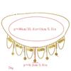 Coin Pendant Tassel Waist Chain Belt Belly Dance Body Chain Fashion Metal Body Chain  Beach