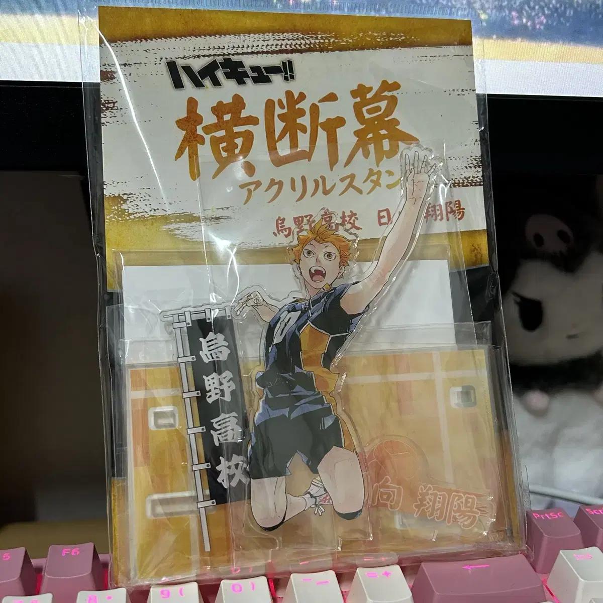 

Haikyu Hinata Placard Acrylic Flag Sell