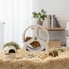 Silent Hamster Running Wheel Plastic Pet Hamster Bracket Rodent Running Wheel  Pet Exercise