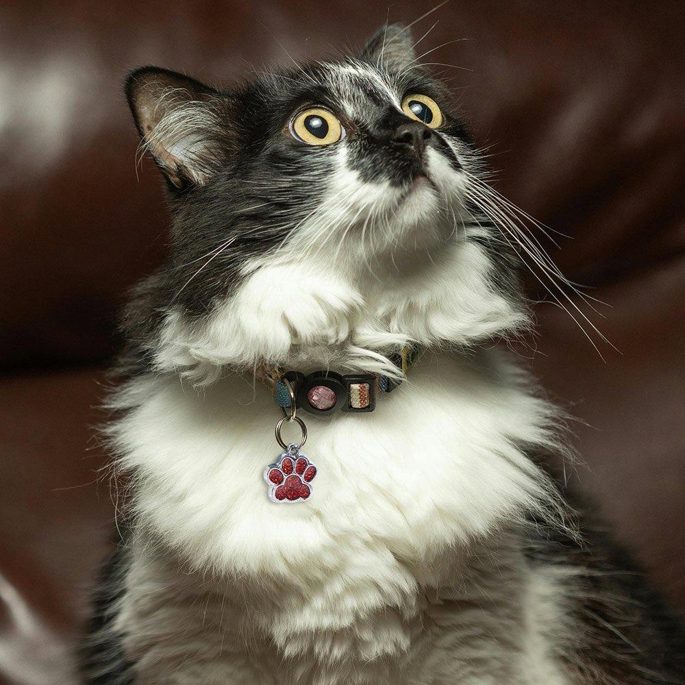 Cat Dog Paw Print Pet Glitter Pendant Personalized Pet Collar Tag Pendant Dog Cat Tags  Cats