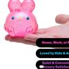 Juguete de Conejo de Plástico Nee Doh Jelly Hops Antiestrés Para Niños Con Desarrollo Sensorial Y Manipulación Manual