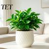 Große weiße Pflanzgefäße für Zimmerpflanzen Blumentopf mit Rautenprägung, Robuster Pflanztopf Moderne minimalistische Töpfe Fensterbank Außenpflanzen,