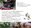 Luxury Coffee Beans Gift The Most Expensive Mysterious Civet Coffee Wild Civet Valuable Cape Aramid 100g Only now comes with a coffee [DIZON FARMS]
