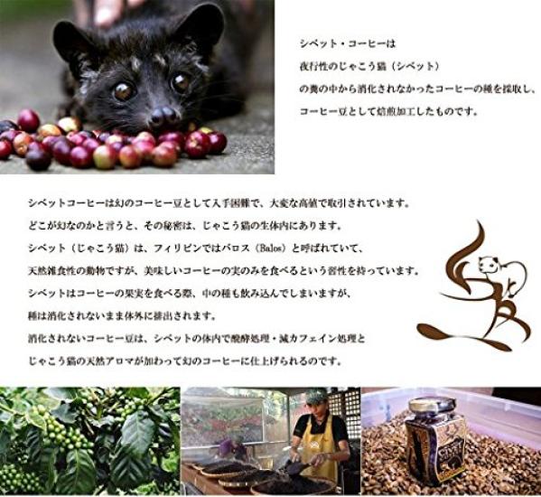Luxury Coffee Beans Gift The Most Expensive Mysterious Civet Coffee Wild Civet Valuable Cape Aramid 100g Only now comes with a coffee [DIZON FARMS]