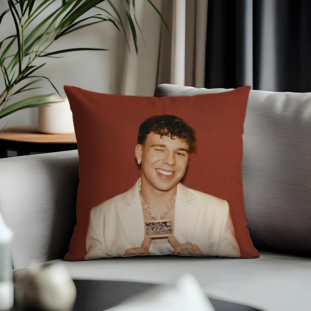 Fashion Qquevadoing Cushion Cover Antidustmite Pillowcase Invisible Zipper Silky Short Plush Sofa Cushion Cover