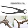 185mm Spherical Branch Cutter Small Bonsai Scissor Plier Garden Potted Plants Tool