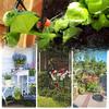 Bästsäljare inom utrikeshandel: 30m DIY Droppbevattningskit för Balkongblomkrukor - Automatiskt Smart Vattningssystem.