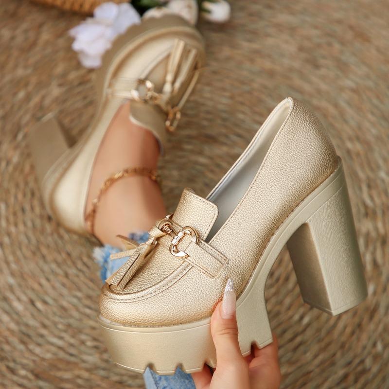 Fashion Block Heel High Heel Small Leather Shoes 2025 Spring New Platform Heightened French Vintage Mary Jane Single Shoes