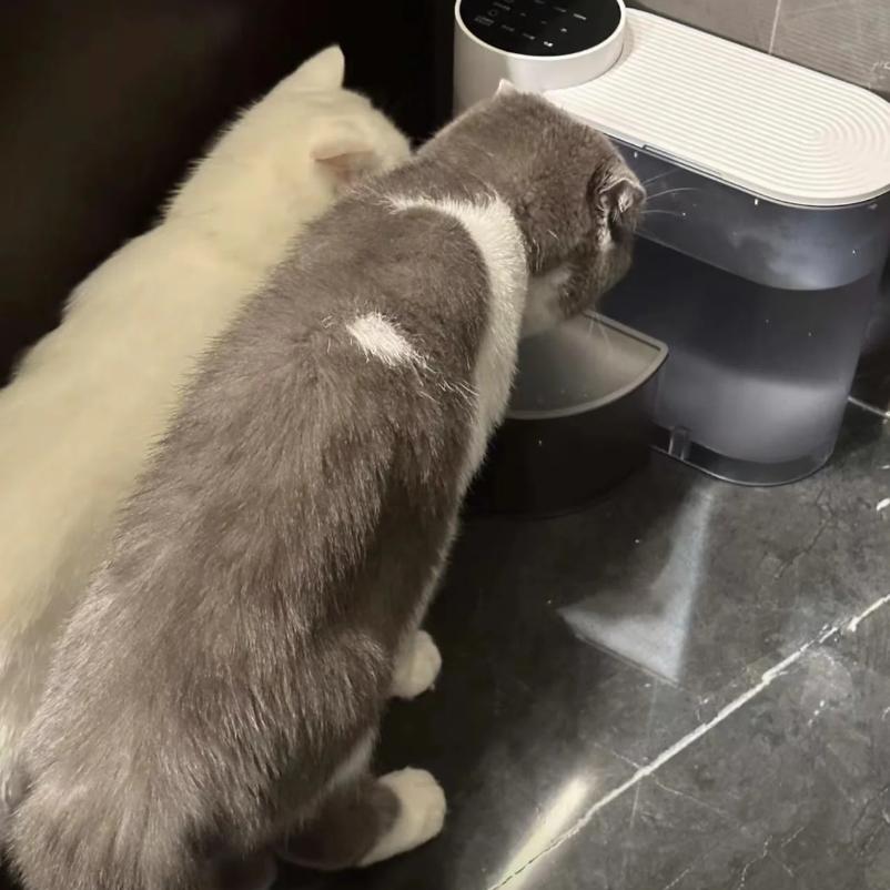 Pet water dispenser, dog and cat water dispenser, dumping cat water dispenser, running water charging automatic water feeder