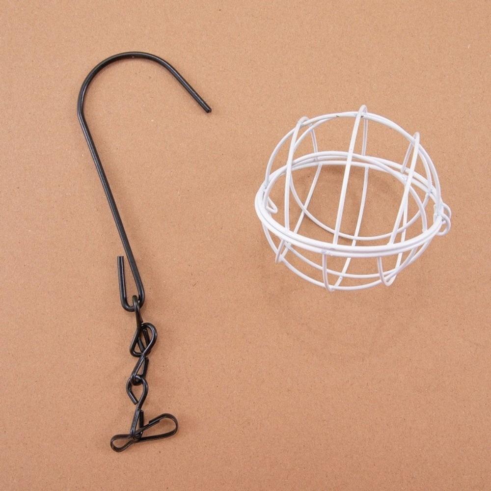 with Hanging Chain Hanging Ball Bird Feeder Closed Design Suet Ball Bird Feeder  Tree Hanging белый