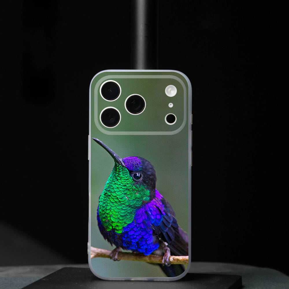 Bird Hummingbird Colorful For iPhone 17,16,15,14,13,12,11,Pro,Max,Plus,Mini,SE4,E Magnetic For Magsafe Wireless Phone Case