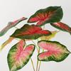 Simulation green plant 3 fork color taro leaves 3D printing color taro home garden decoration plant wall flower material high simulation