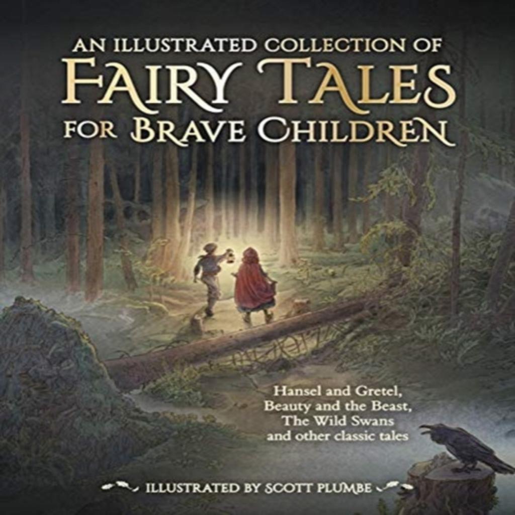 An Illustrated Collection of Fairy Tales for Brave Children by Hans Christian Andersen Hardback Book 9781782506713