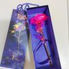 Chinese Valentine's Day 24K Gold Foil Rose Gift with Luminous Box