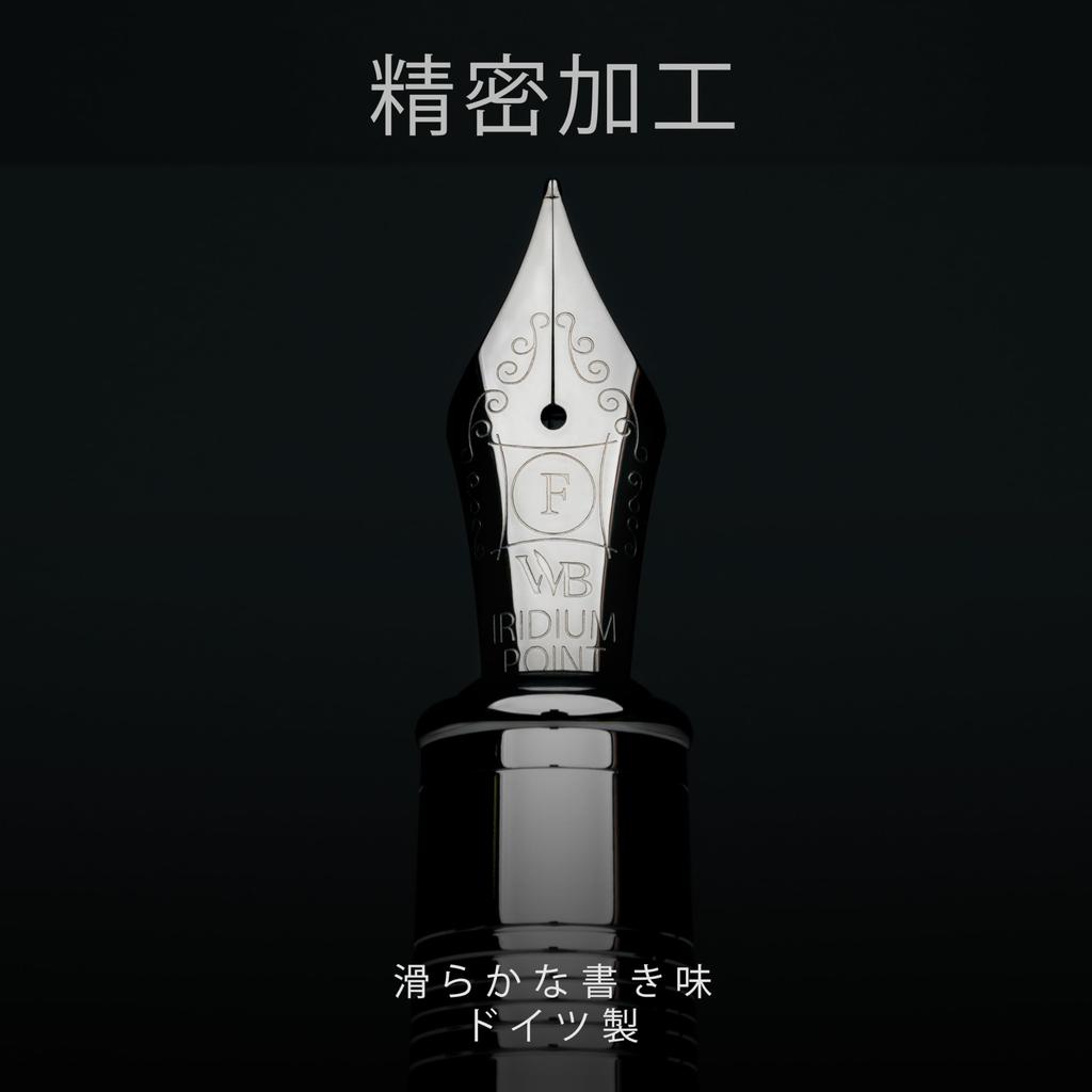 Wordsworth Black Majesti Fountain Pen Luxury Chrome Fine Nib Ink Cartridge Refillable Ink Converter Calligraphy Pen Perfect Business Gift Set for Men