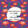 Introduction To Sally by Elizabeth Von Arnim Paperback Book 9780712354745
