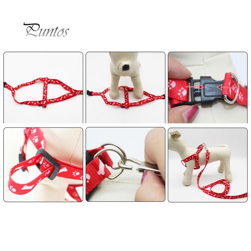 Postrojový golier Leash Bones Paws Trakčné lano