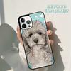 Autumu Poodle Dog Cartoon Phone Case Cover for iPhone 17 Air 16 16e 15 12 11 13 14 Pro Max Apple Plus Coque