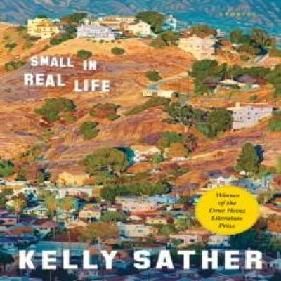 Small In Real Life by Kelly Sather Paperback Book 9780822967347