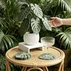 Monstera Leaf Coaster: Creative Table Centerpiece with Simulated Green Potted Plant Leaves