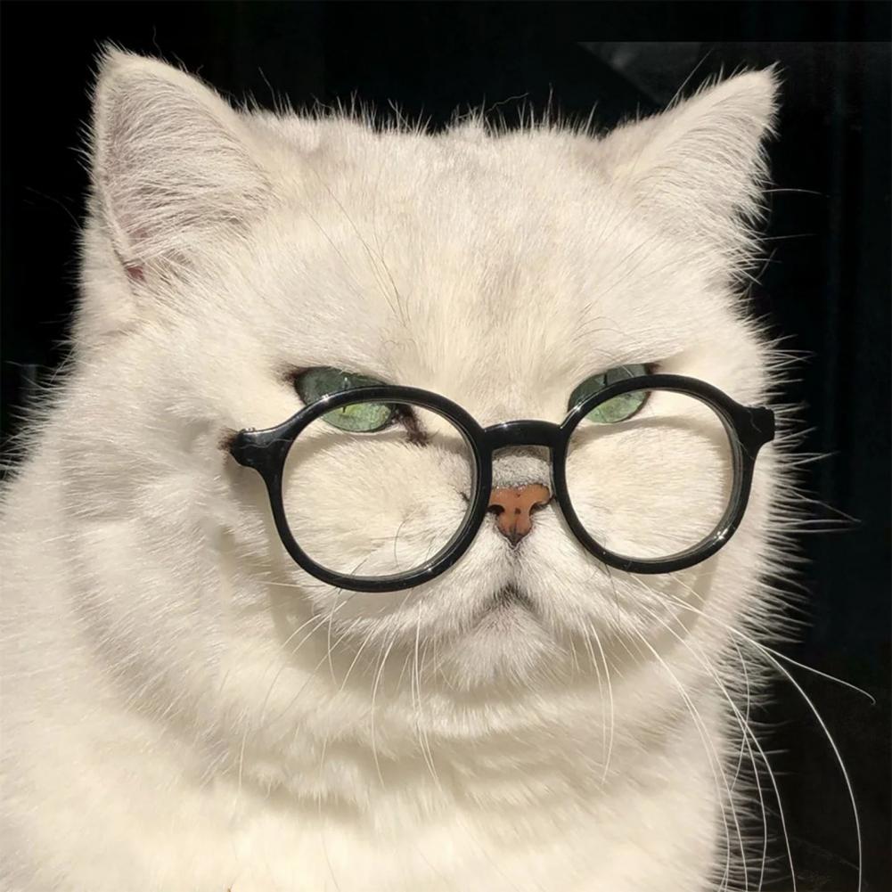 Doll Glasses Accessories Stylish Doll Accessories Pet Doll Sunglasses Set for Photo Shoots Costumes Mini Round Frame