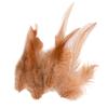 100PCS Stylish Plumage Trims For Enthusiasts Addition To Accessories And Festival Decoration