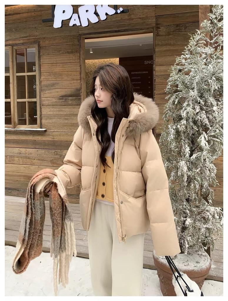 Big fur collar short down cotton clothes women's loose winter thickened cotton clothes down small hooded jacket