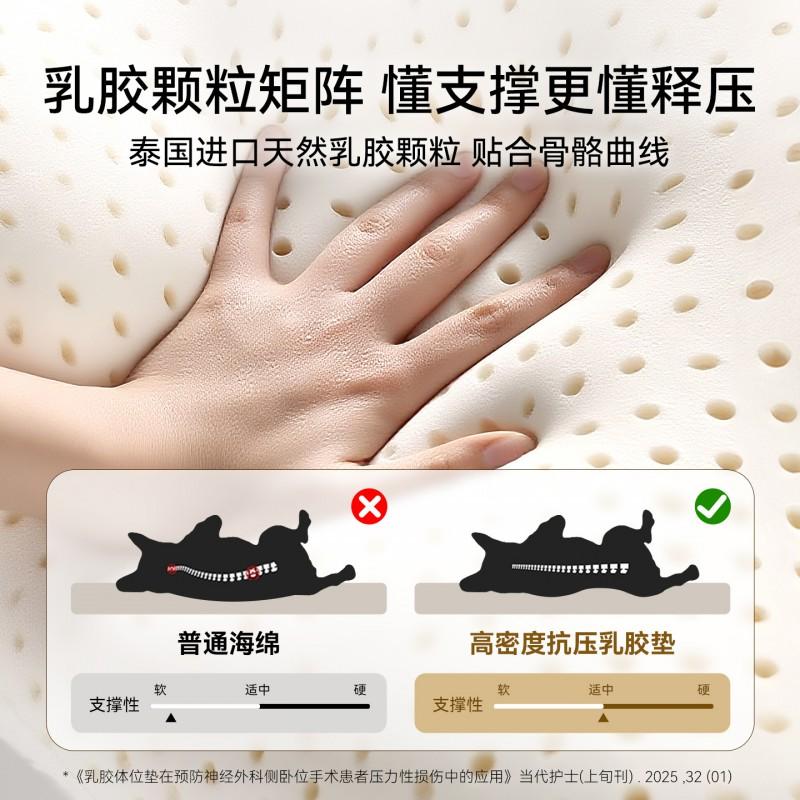 Open-Top Pet Bed Small To Medium Dogs Cats Breathable Latex Foam Sofa Nest All-Season Indoor Use
