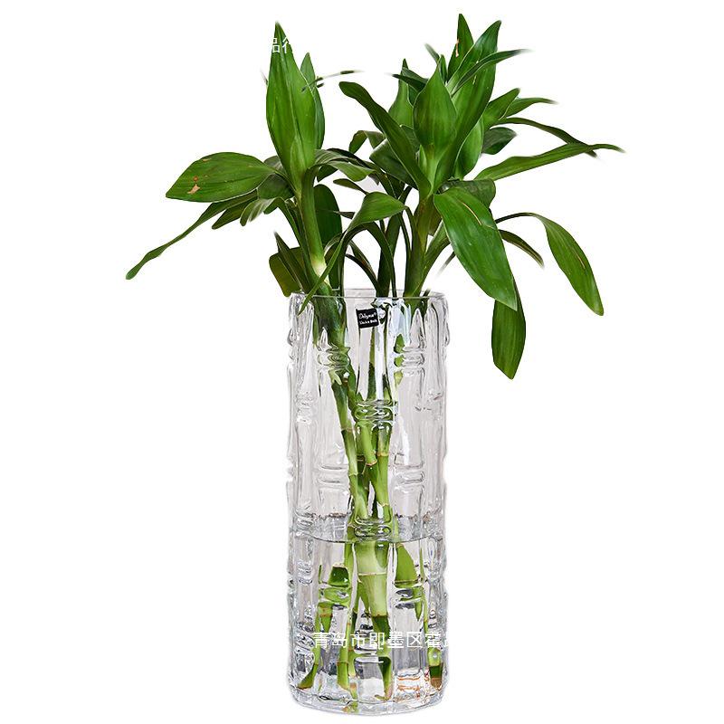 Extra Large Transparent Glass Cylinder Vase for Lucky Bamboo and Flower Arrangements In Living Room