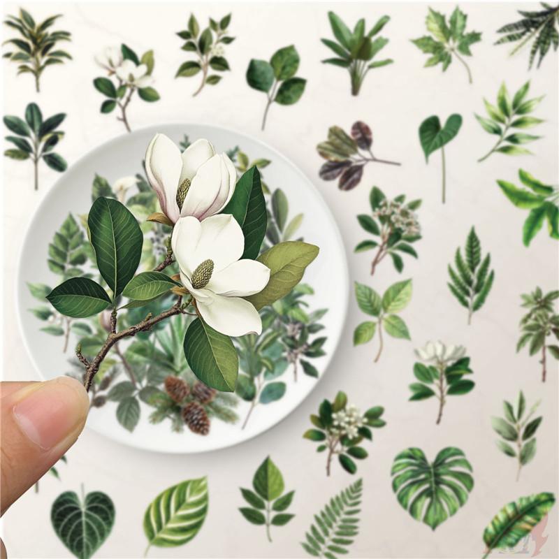50Pcs/Set Green Leaves Series 02 PET Stickers Waterproof DIY Fashion Doodle Decals Stickers