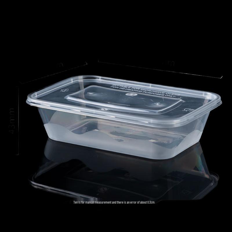 Ronghe Disposable Plastic Food Container with Lid