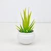 Vera Succulent Aloe Miniature Green Potted Plant For Home Office Decor Desk