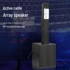Weishu WSYZ500 Professional Passive Line Array Column Speaker (CN Version)