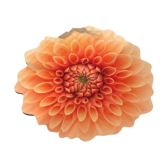 

3D Цветочный Плюшевый Напольный Коврик Моющийся Нескользящий Ковер Абсорбирующий Быстросохнущий Ковер для Украшения Гостиной Спальни Ванной Комнаты Кухни 60cm I