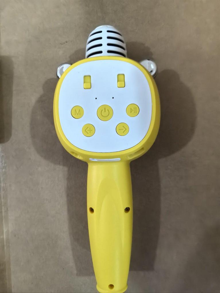 Guangfengyuan Kids' All-in-One Singing Microphone & Speaker