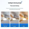 Minimalist Ceiling Fan Light for Living Room, Dining Room & Bedroom
